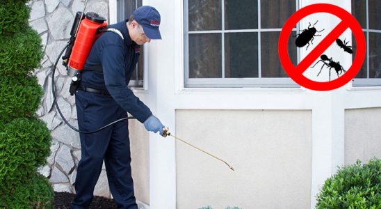 Yamanlar Fare İlaçlama böcek ilaçlama ve haşere kontrolü — ilaclama-tr.com